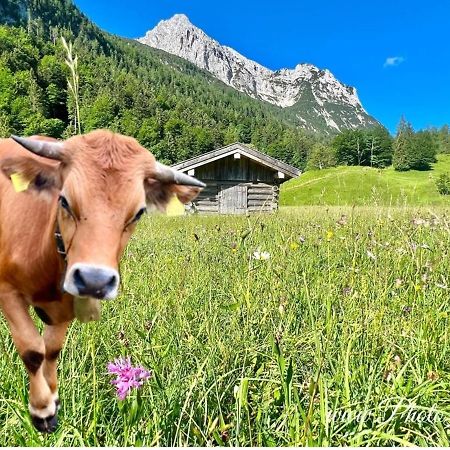 Sparfuchs - Fewo Resi Mittenwald Εξωτερικό φωτογραφία